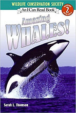 Load image into Gallery viewer, Amazing Whales! Children&#39;s Book
