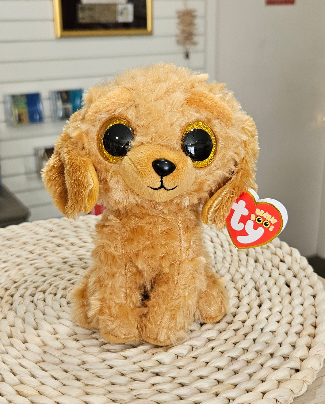 TY Beanie Boos – Anne Murray Centre - Main Image